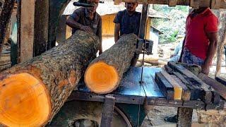 BIG WOOD CUTTING/ SAW MILL WOOD CUTTING PROCESS