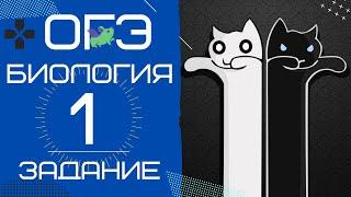 ОГЭ Биология 2020. Задание 1 Рохлов