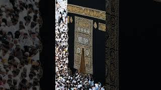 فَمَنِ اتَّبَعَ هُدَايَ فَلَا يَضِلُّ وَلَا يَشْقَىٰ #آيات #طه