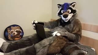 Guardians of the Galaxy Vol. 2: Tealeaf Raccoon Edition