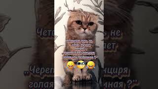 #ржунемогу #смехпродлеваетжизнь #смейся