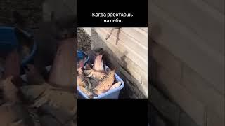 Когда работаешь на себя