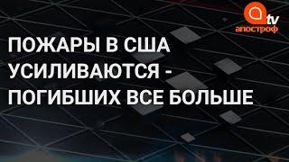 Лесные пожары в США: погибло более 30 человек, сотни тысяч эвакуированы