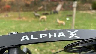 Hoyt Alpha X 33 Review (Alpha leading the Pack)