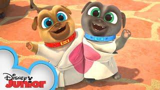 Bob and Ana's Wedding  | Compilation | Puppy Dog Pals | @disneyjr