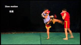 3d duan Wushu Sanda