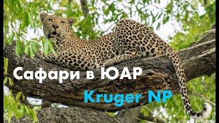 Cафари в ЮАР, Kruger National Park