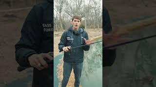 Lipless Crankbait Chaos: Decode the Rattle & Reel in Bass Fishing - Top Tips 1