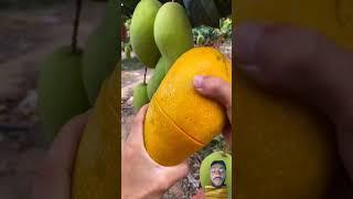 https://youtube.com/shorts/M_ByF5IKEaA?si=_MNAydNFlz87p9XE 