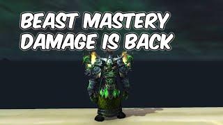 BEAST MASTERY IS BACK - 11.0.2 Beast Mastery Hunter PvP - WoW The War Within