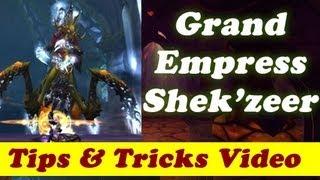 Grand Empress Shek'zeer 10 man normal - strategy guide - tips and tricks Tank PoV with Narration