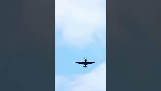 #spitfire #supermarinespitfire #griffon #ww2 #glorious #sound #aircraft #warbird #vintage #raf