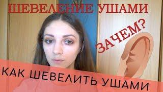 Шевеление ушами. Как? Зачем? А нужно ли вообще?