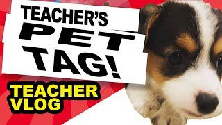 TEACHERS PET - Teachers Tag