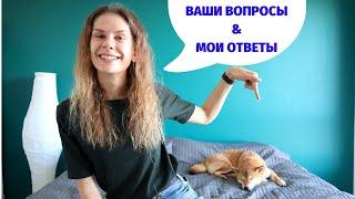 О лени, о мотивации и об аудиокнигах. Часть 7 || Вопросы и ответы