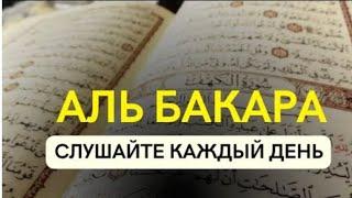 Сура Аль-Бакара 2. ЗАЩИТА От всего плохого. Включайте в ваши домах سُورَةُ الْبَقَرَةِ Albaqarah