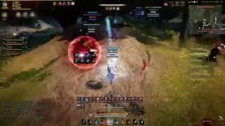 BDO PvP #1