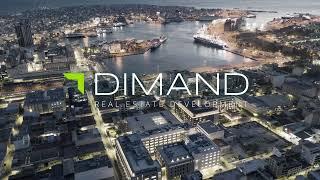 DIMAND Real Estate Development - Vol.1