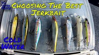Who Makes The BEST JERKBAIT? (TIPS for MORE BITES)