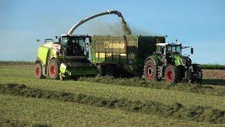 [4.Schnitt 2023] LU Schmidt Ronneburg Claas Jaguar 950 mit Fendt Abfahrern beim Gras Häckseln