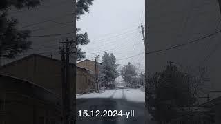 O'zbekiston. Toshkent .15.12.2024- yil