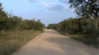 H5 Road in Southern Kruger National Park Near Crocodile Bridge