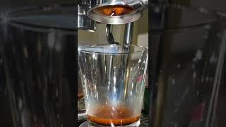 Espresso Shot Breville Barista Pro Mar 2 2023 #1080p #nofilter #240fps #thursday #coffee #slowmotion