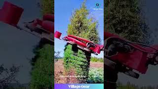 Tree Wrestling vs. Robo-Stylist!  This Comparison is WILD! #treehacks #funny #technology