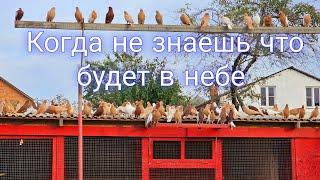 Когда не знаешь что  будет в небе