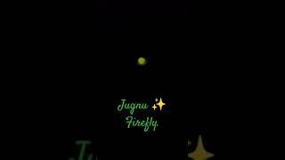 Jugnu | जुगनू | Firefly | #shorts