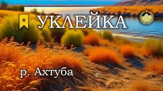  р. Ахтуба  Уклейка  Русская рыбалка 4 