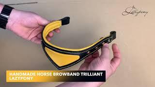 Handmade horse browband Trilliant Lazypony