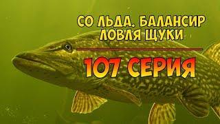 Серия 107. Со льда. Балансир. Ловля щуки. Рыбалка с Нормундом Грабовскисом.