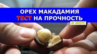 Орех Макадамия Тест на Прочность и Вкус