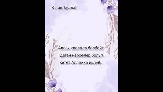 Аллах кааласа болбойт деген нерселер болуп кетет!..