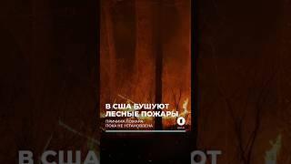 Во власти огня: в США бушуют лесные пожары #леснойпожар #ньюджерси #сша #стихия #пожар #новости