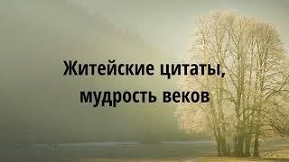 Житейские цитаты,мудрость веков,афоризмы,лучшее