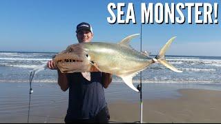 How to Catch a Sea beast - Surf Fishing PINS