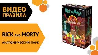 Рик и Морти: Анатомический парк — настольная игра | Правила игры 