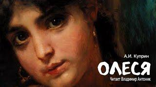 «Олеся». А.И. Куприн. Аудиокнига. Читает Владимир Антоник.