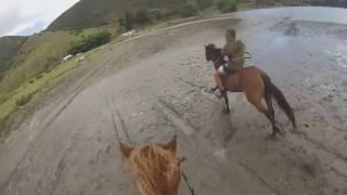 Awesome Horse Go Pro Cross country 2017 New Zealand