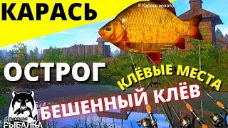 КАРАСЬ ТРОФЕЙНЫЙ Оз. СТАРЫЙ ОСТРОГ Где Ловить Карась  РУССКАЯ РЫБАЛКА 4  Russian Fishing 4  РР4