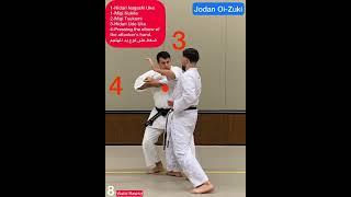 Shuto Uke Bunkai SKO Karate WR. Kata shotokan