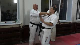 A methodical and practical seminar led by Paolo Bolaffio 9 dan Makotokai karate