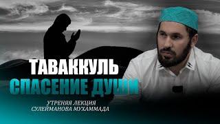 ТАВАККУЛЬ, СПАСЕНИЕ ДУШИ | Сулейманов Мухаммад