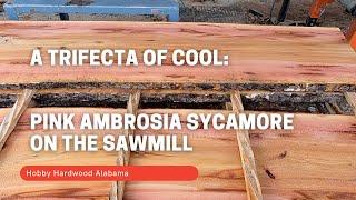 Sawmill - Wood-Mizer LT-70 and Amazing Logs  (Will Make You Look Twice!) at Hobby Hardwood