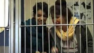 Rehoming animals at Battersea Dogs and Cats Home