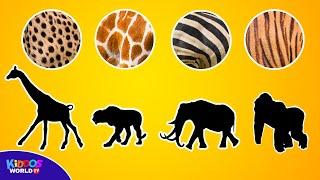 Guess the Animal Game and Learning to Count Animals