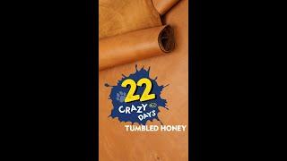 Making A Bag with 22 Crazy Days Leather