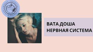 Вата доша (нервная система)